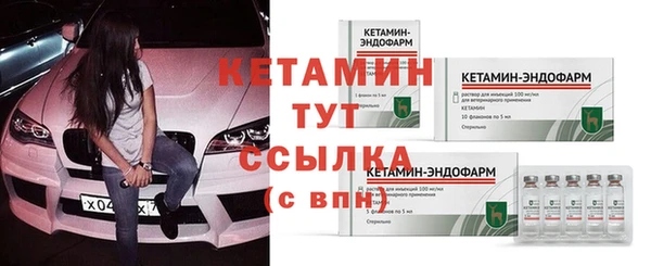 гидра Арсеньев