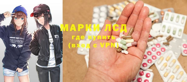ГАЛЛЮЦИНОГЕННЫЕ ГРИБЫ Аркадак